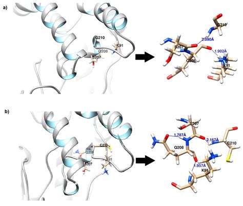 Insight into Improved Thermostability of Cold-Adapted Staphylococcal ...
