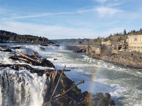 Willamette Falls