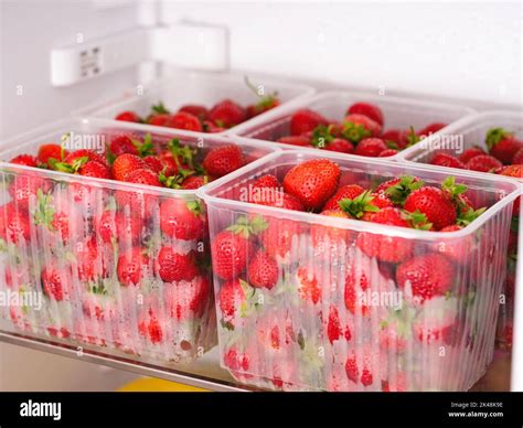 Does Refrigerating Strawberries Keep Them Fresh? The Truth Revealed