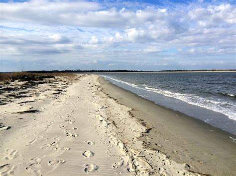 Can You Drive To Morris Island Sc at Kai Chuter blog