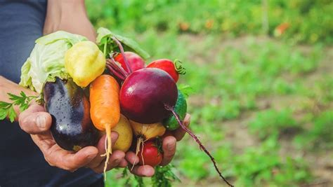 Sankt-Anna-Markt | charivari