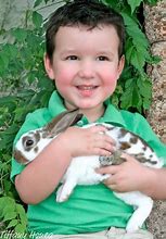 Image result for Cutest Bunny Rabbits