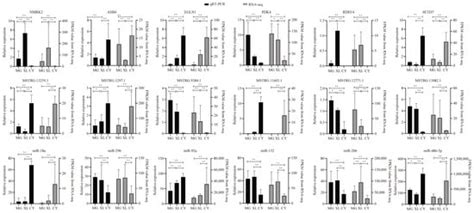 Animals | An Open Access Journal from MDPI