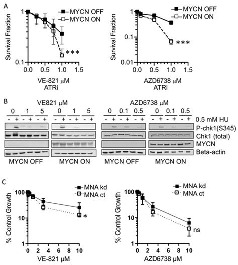 Cancers | Special Issue : Targeted Therapies for Pediatric Solid Tumors