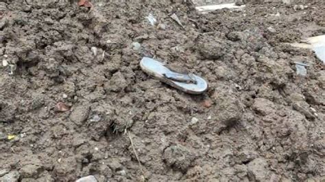 Dumping ground, not plantation: Dhubri residents slam use of debris in ...