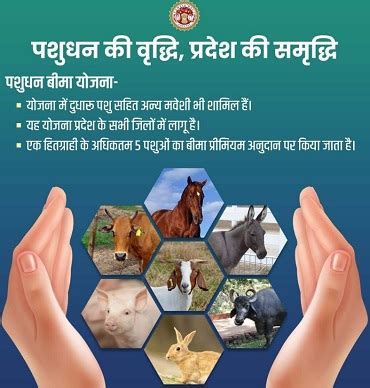Madhya Pradesh Pashudhan Bima Yojana | Govt Schemes India