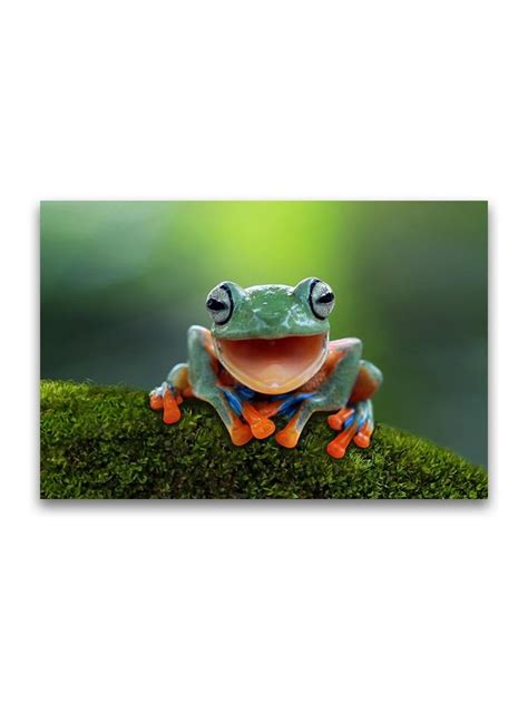 Image result for Funny Tree Frog