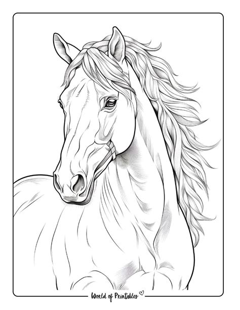 Pin by Maria Kopitovski on Belas pinturas | Horse coloring books, Horse ...