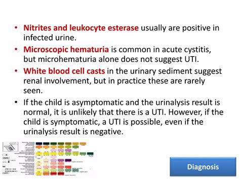 Positive Nitrites In Urine