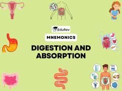 Mnemonics: Digestion and Absorption (Old NCERT) - Crash Course for NEET ...