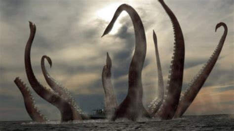 大王乌贼可能真的存在，身长20米，以鲸鱼和鲨鱼为食