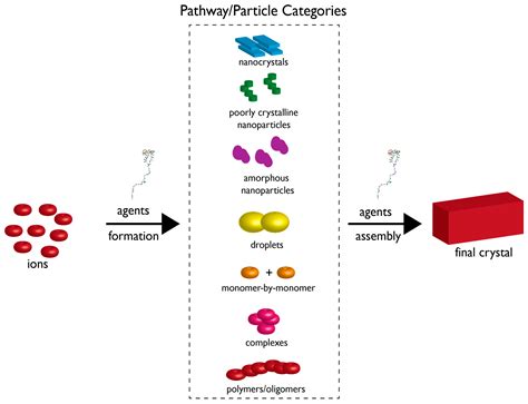 Polymorphs, Proteins, and Nucleation Theory: A Critical Analysis
