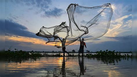 Sri Lanka Navy arrests six fishermen, seizes their trawlers | India ...