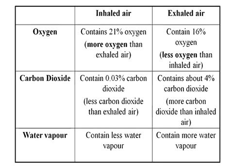 Respiration in Organisms Class 7 Notes Science Chapter 6 Free PDF