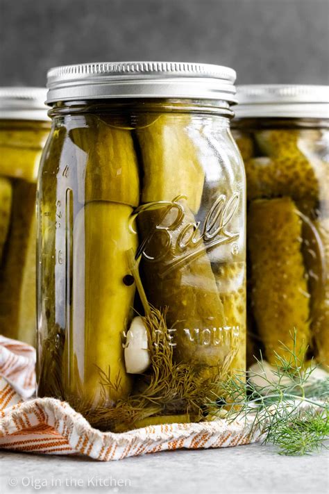 Garlic Dill Pickle Recipe