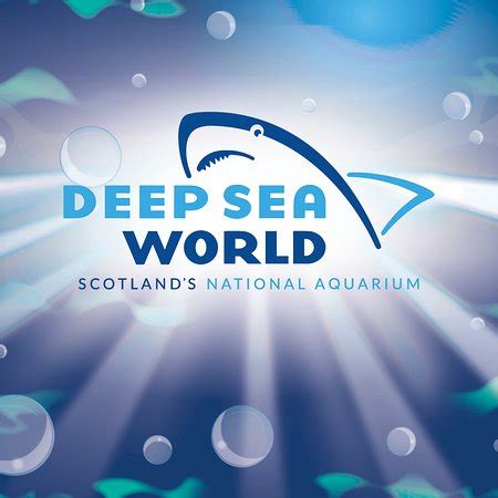 Deep Sea World, North Queensferry, Fife, Scotland - Reviews, Photos ...