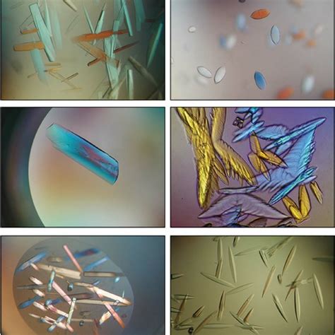 Image result for Protein Crystallization Image Magnification