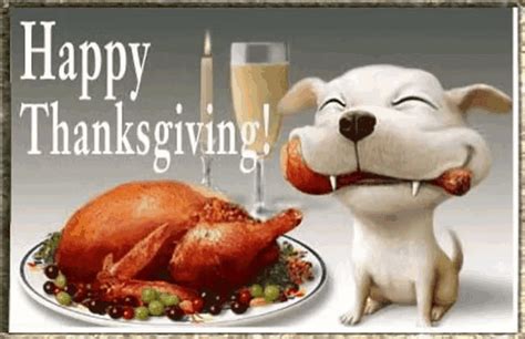 (2) Yammer | Funny thanksgiving pictures, Happy thanksgiving quotes ...