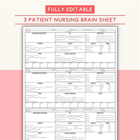Editable Nursing Brain Sheet for Nurse Report Sheet for Nursing Cheat ...