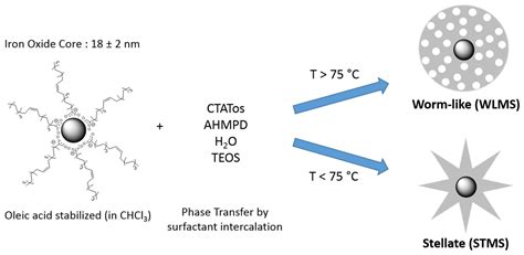 Orienting the Pore Morphology of Core-Shell Magnetic Mesoporous Silica ...
