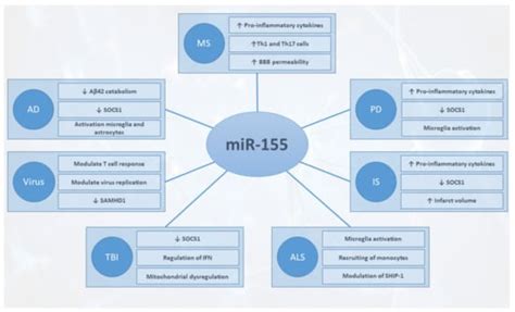 MiR-155: An Important Regulator of Neuroinflammation