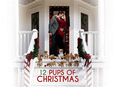 Prime Video: 12 Pups of Christmas - Season 1