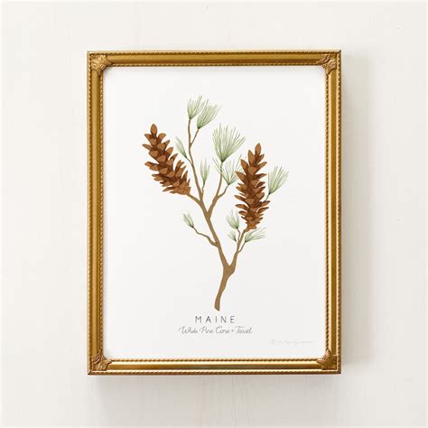 Maine State Flower Print | CUSTOMIZABLE | White Pine Cone & Tassel ...