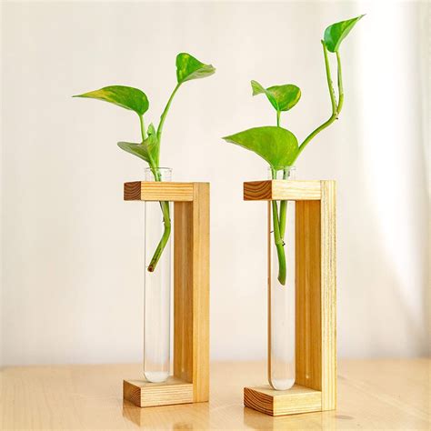 Decorous Shoppee Let's Decor Wooden Tabletop Planter Holder/Test Tube ...
