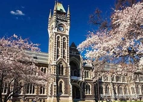 新西兰留学——接受专升本的院校 - 知乎