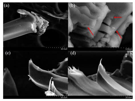 Impact of Chitosan Pretreatment to Reduce Microfibers Released from ...