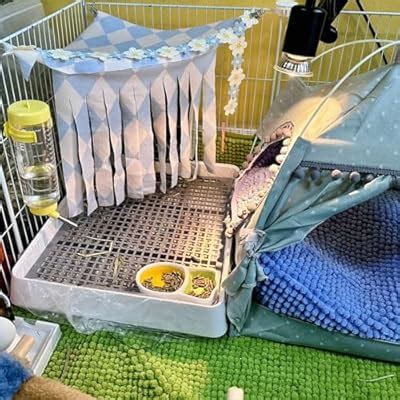 Oncpcare 15x12 Guinea Pig Litter Box with Grid, India | Ubuy