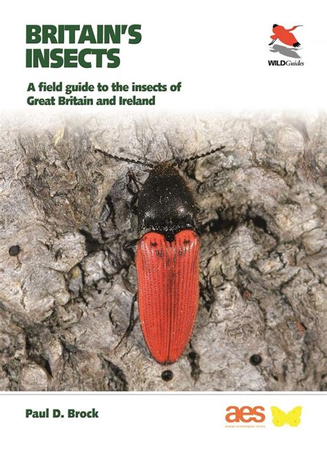 Image result for Insect Guide