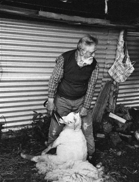 A HAPPY NEW PIZZA!! - “COMMONROOM”gnarly