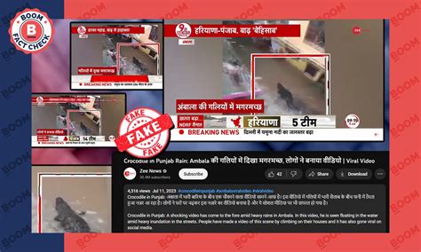 Zee News Misreports Old Video Of Crocodile Sighted In MP As Haryana | BOOM