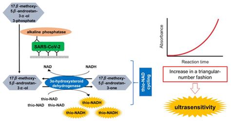 Proposal of De Novo Antigen Test for COVID-19: Ultrasensitive Detection ...