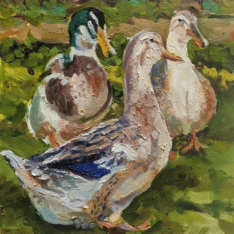 Silver Appleyard Duck