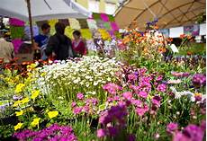 fiera dei fiori festa dei fiori e mercato di primavera bolzano fiera dei fiori festa dei fiori e mercato di primavera bolzano