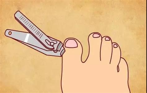 这才是剪脚趾甲的正确方法！