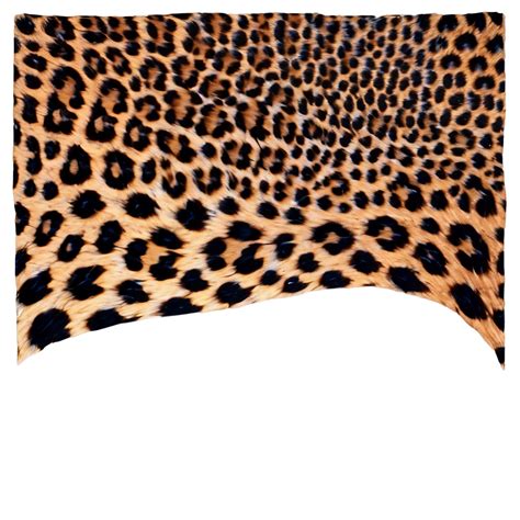Download Leopard Print Clipart Png 05212024 | Wallpapers.com