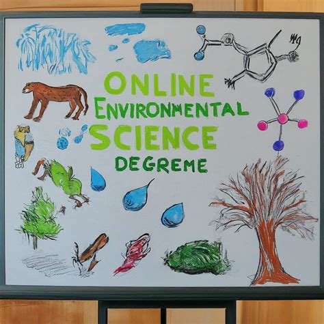 Top 9 Online Environmental Science Degree 2026