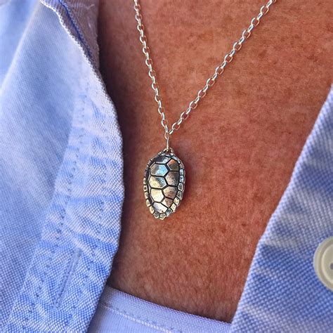 Image result for Silver Shell Turtle