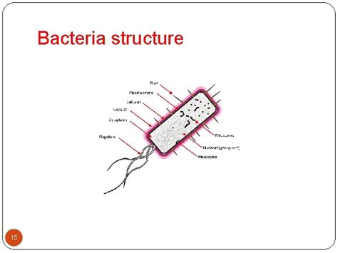Microbiology 的图像结果