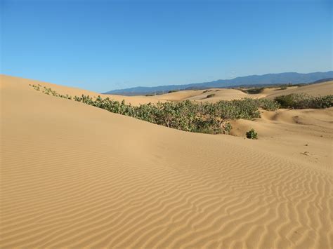 Visiter Parc national Los Medanos de Coro : préparez votre séjour et ...