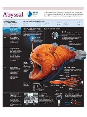 Image result for Organized Notes