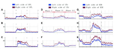 Image result for Cervical Rotators