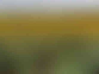 Places to visit near Hampi, Karnataka