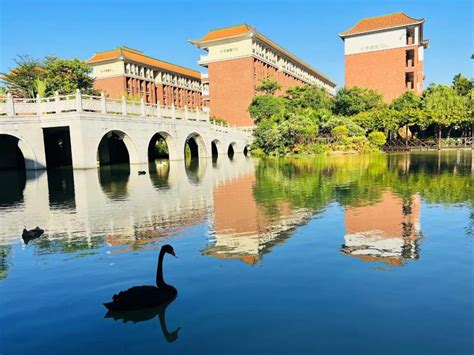 外国语学院 | 融通中外，共语未来-广州大学本科招生网