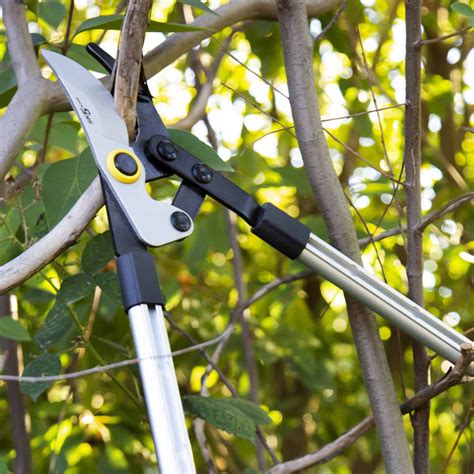 How to Use Loppers 的图像结果