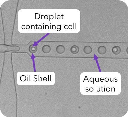 Image result for Microfludics Cell Encapsulation