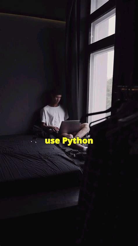 Python Visualizer 的图像结果